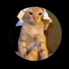 BKTHERULA - WHAT I WANT (UNRELEASED) But Fucked Up With Bass And Pitch And Speed And Stuff