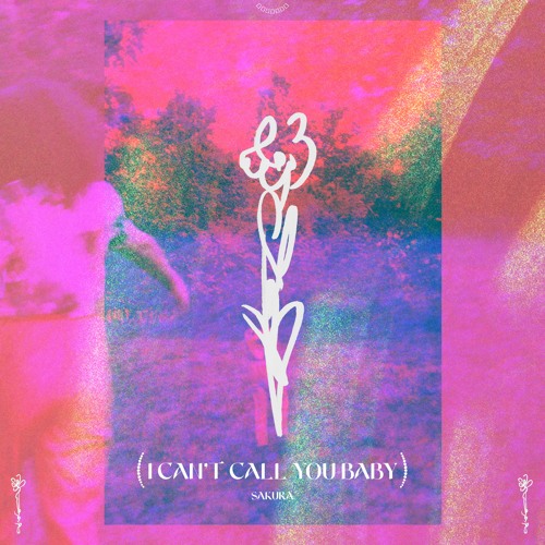 I Can't Call You Baby