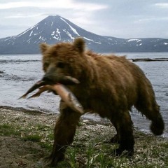 Rinsed - Dean Blunt (Acoustic Cover by TO$HIRO)