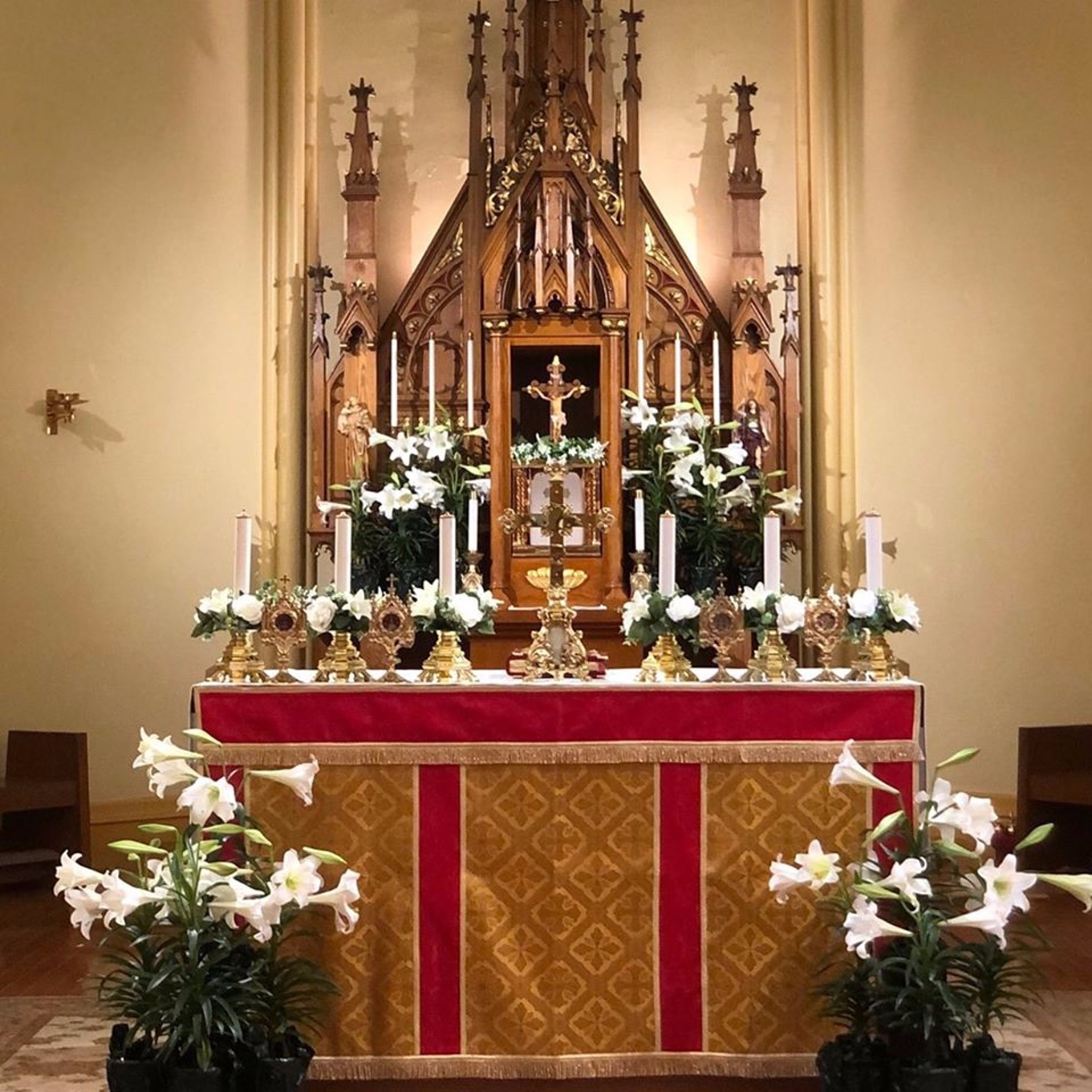 Homilies from Fr. Aaron