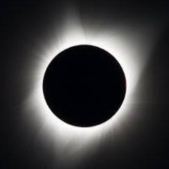 The Rebuilding of The Shadows!
