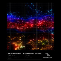 NECTAREXPERIENCE - Brain Feedback EP  [AM14] - Previews