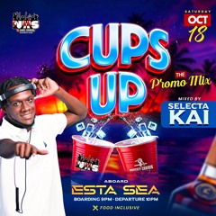 Just Vibess 1🔥🔥 (Cups Up Promo Mix) Selectakai & Mc Bonzo
