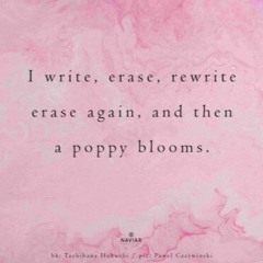 Write, Erase, Rewrite (naviarhaiku557)