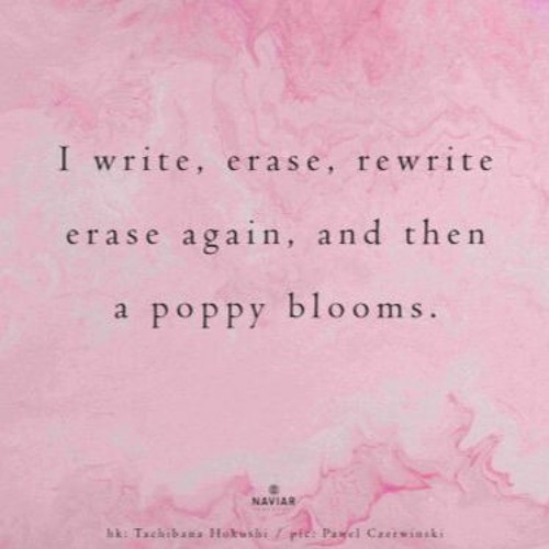 Write, Erase, Rewrite (naviarhaiku557)