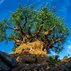 Knockin On Heavens Door