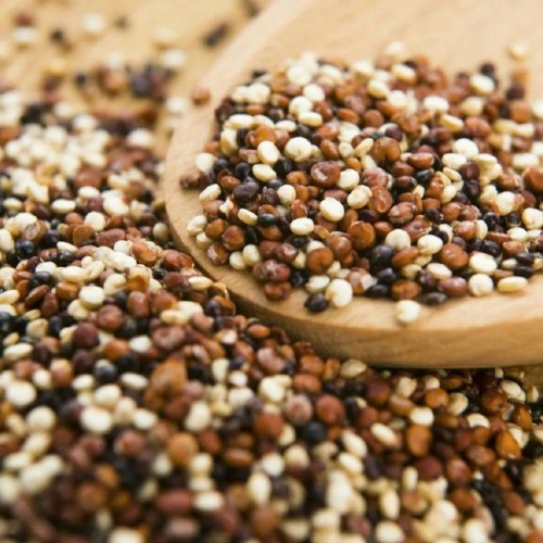 Stream megatron x эмэмдэнс ‼️ by k | Listen online for free on SoundCloud