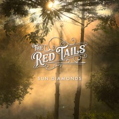 Sun Diamonds (folky mountain acoustic introspective)