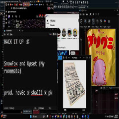 Back it up (prod. hav0c x shalli x pk)