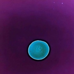 Strange, love (ft Sam Nicholson)