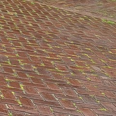 Drizzle