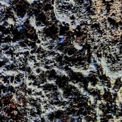 Elith - Mineral