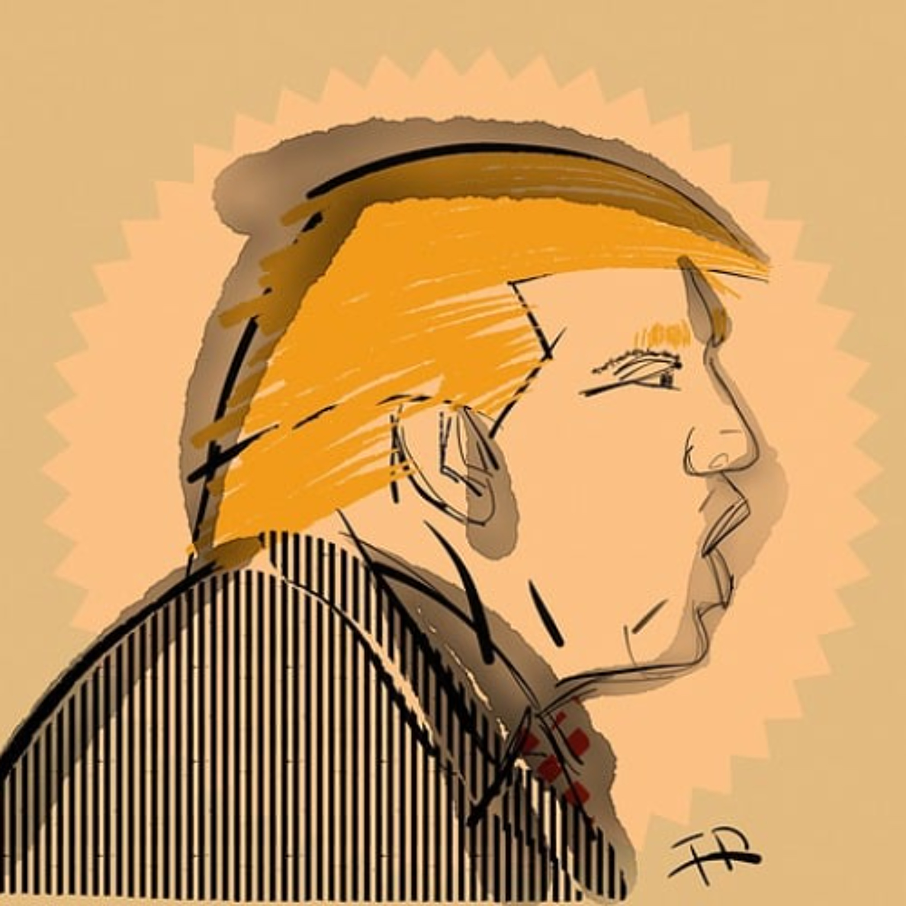 Is Donald's Plan Crashing? - Phantom Nation