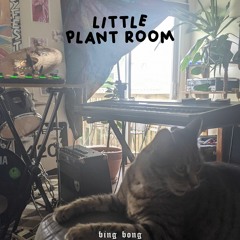 LITTLE PLANT ROOM