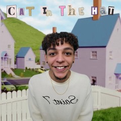 Cat In The Hat (prod. torie!)