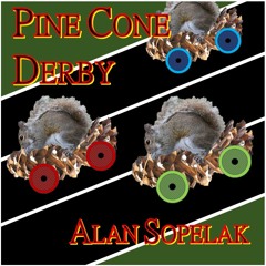 Pine Cone Derby