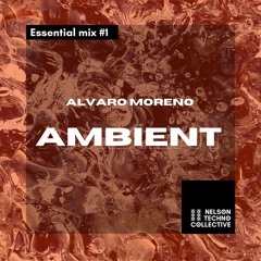 Nelson Techno Collective Podcast #1: Essential Mix "Ambient" by Alvaro Moreno