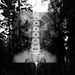 BONES