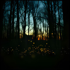 COUNTRY HIT - LE LUCCIOLE CANTANO - CANZONI DEL BOSCO - RELEASE - Altair