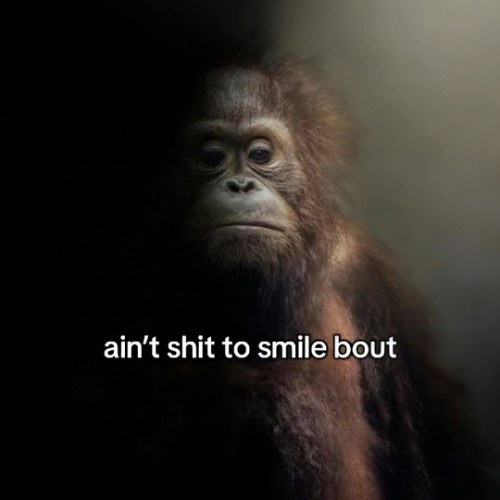 deftones but its hoodtrap