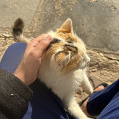 غاده رجب ابعد عني يابن الناس