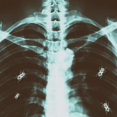 Ants In Your Lungs