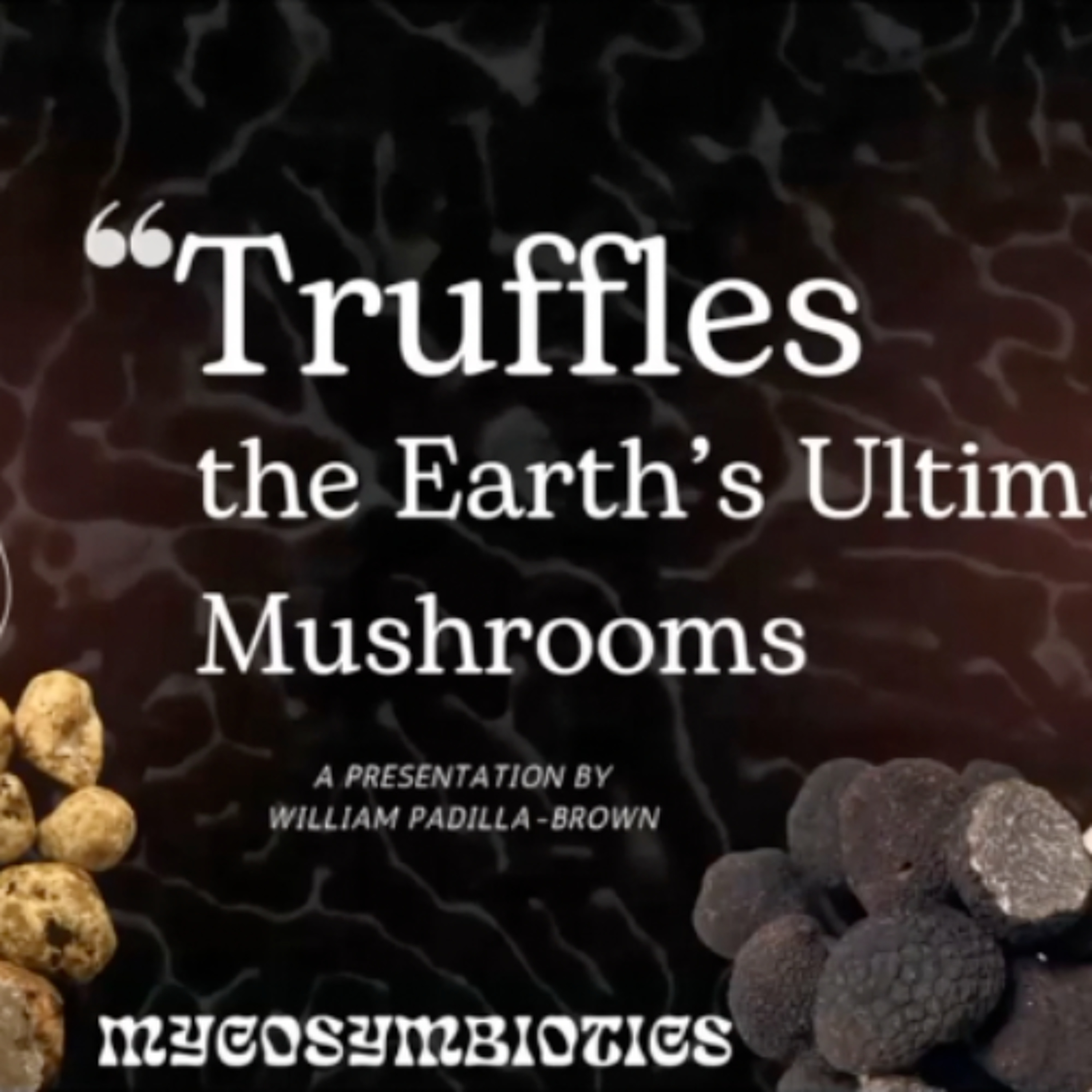 Truffles: the Earth's Ultimate Mushrooms with William Padilla Brown | R-Future 2024 REWIND