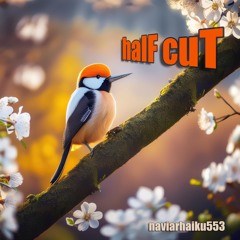 halF cuT [naviarhaiku553]