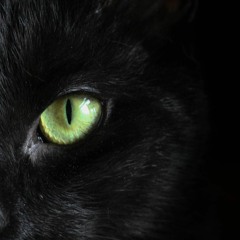 [FREE] Dark Trap Beat - ''NOCTURNE''