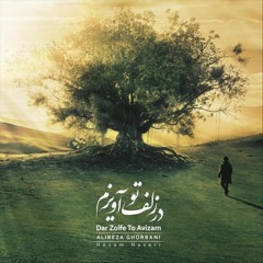 در زُلف تو آویزم  /  علیرضا قربانی
