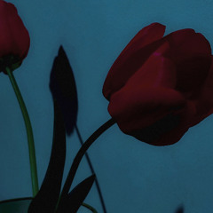 Exos - Hamster Found (bonus tracks)