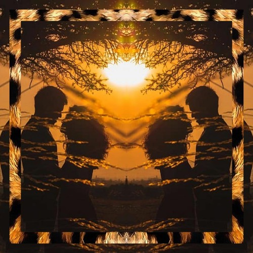 ∾ Ses ⋙Aslan Venom⋘