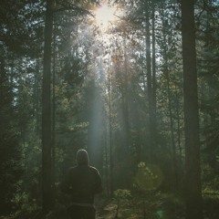 Finding a place of Rest - Part 4