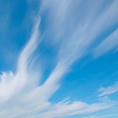 Gate of Clouds (disquiet0604)