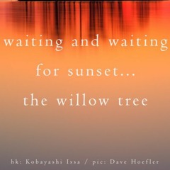 Boson Spin - Waiting for sunset [naviarhaiku357]