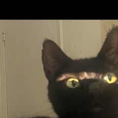 _