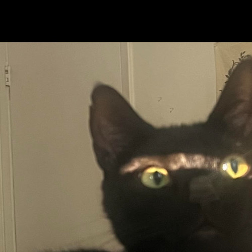 _