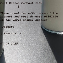 Paul Zentos Podcast 1182 @ These countries offer some of the richest and most diverse wildlife in the world animal species - Jaguare ( Pantanal ) 07 06 2025