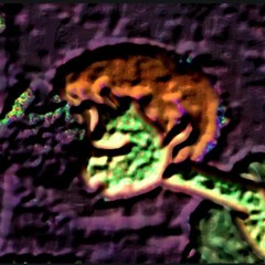 Never sober, no I'm sober (Prod.Pieper Beats × 5haggy)