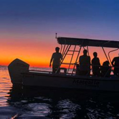 Review Special Price Sunset Cruise And Swim The Bioluminescent Bay La Parguera