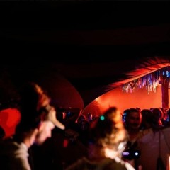 Tandava Vani @ biotobt OpenAir Juli 2021