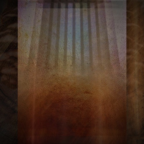 Life - Meditative Session 7