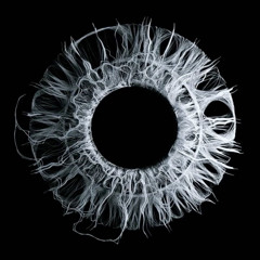 Arousal Dilation