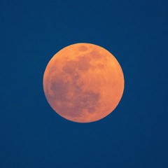 Blue Moon (Extended version) - Mü Music