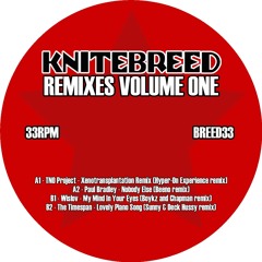 BREED33A1 - TNO Project - Xenotransplantation Remix CHyper-On Experience Remix]