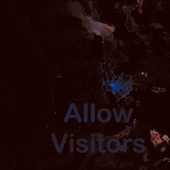 Allow visitors