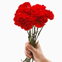 Memórias do 25 de Abril