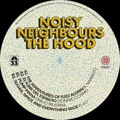 Premiere : A.Naranjo - The Adventures of Fuzz Aldrin (TH001)