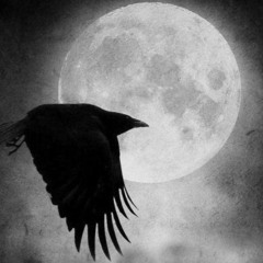 RAVEN (WIP)