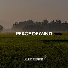 Morgan Wallen Country Type Beat-Peace Of Mind